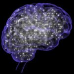 New EEG referral form: Potential to increase efficiency and save money