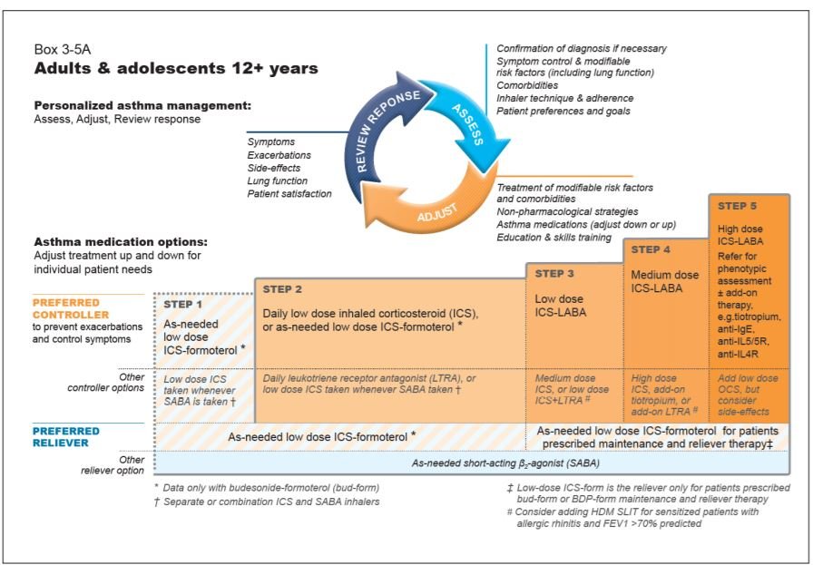 Global initiative for asthma (GINA) What’s new in 2020 Medical