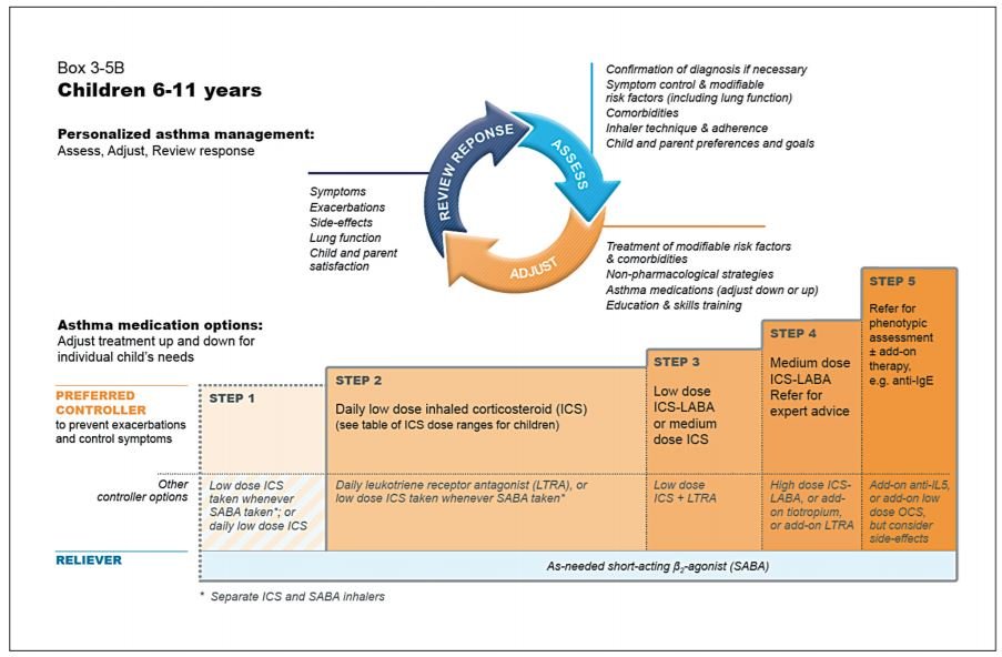 Global initiative for asthma (GINA) What’s new in 2020 Medical