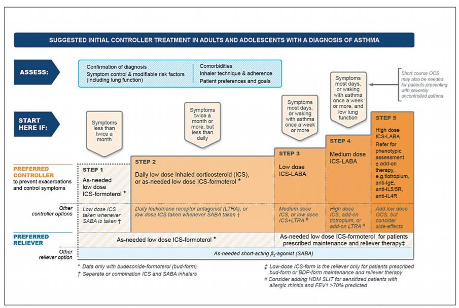 Global initiative for asthma (GINA) What’s new in 2020 Medical