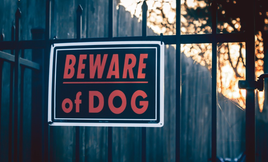 dangerous dogs