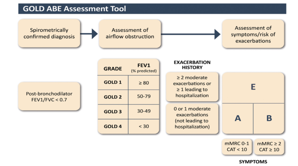 GOLD 2025 Implications for practice Medical Independent