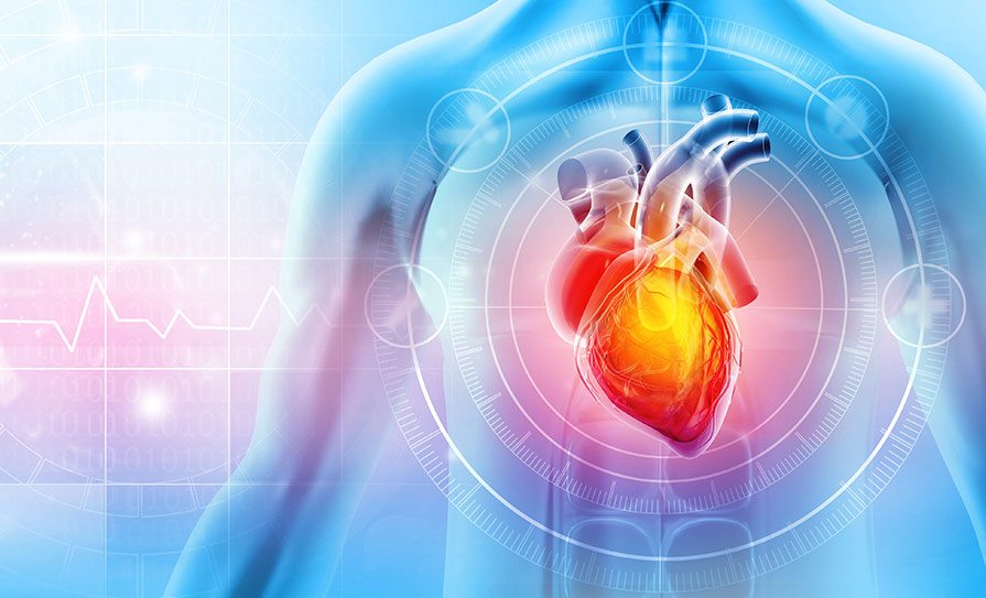 management of cardiovascular disease