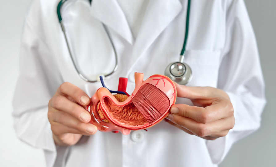 gastroenterology