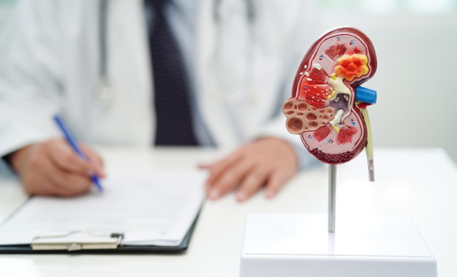 kidney care