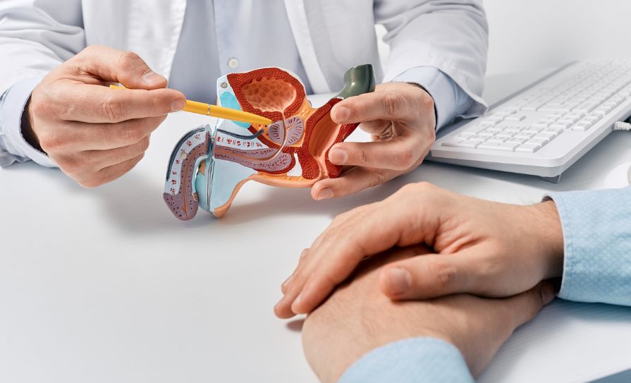 prostate