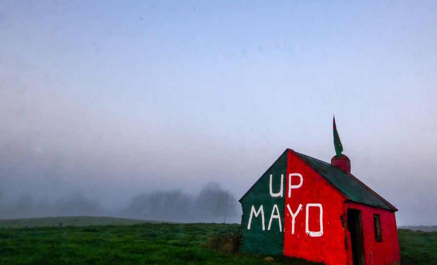mayo
