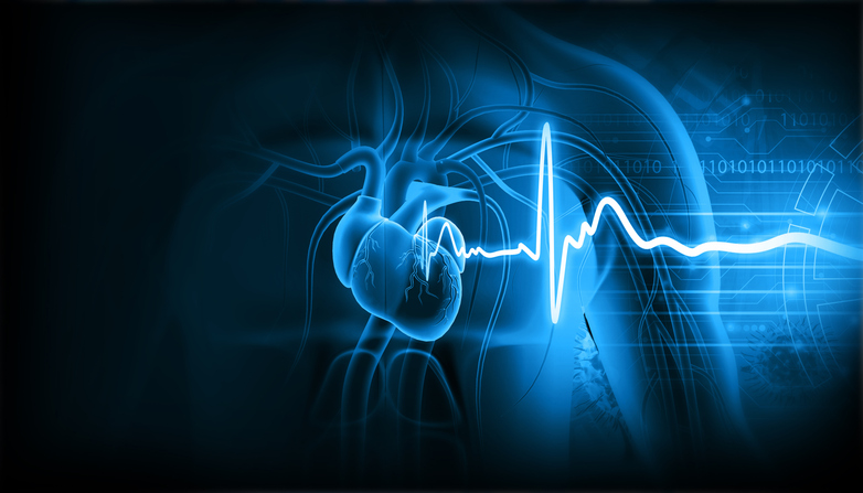 Cardiovascular science