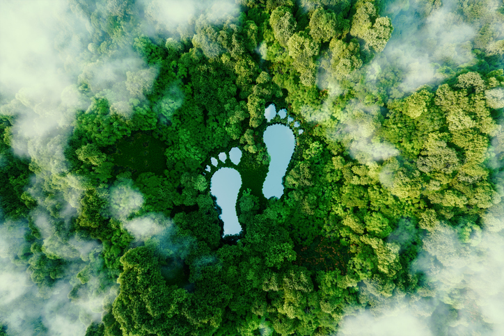 Climate change impact on skin