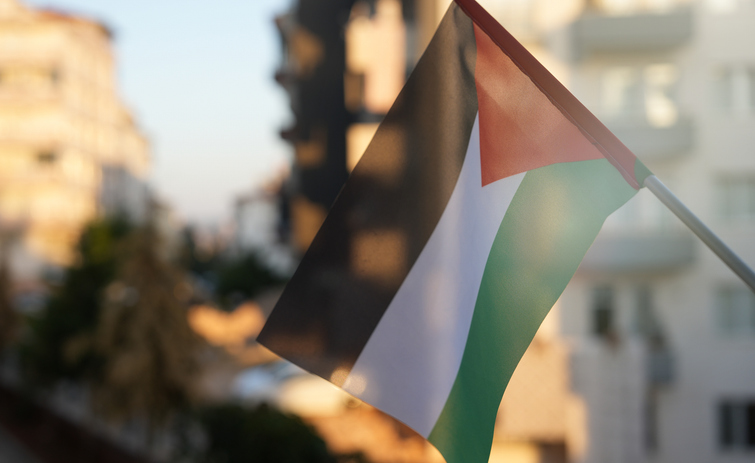 Gaza response